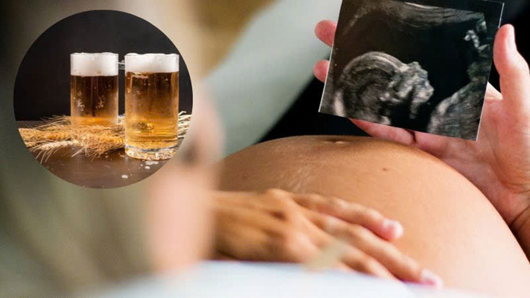 Bia không cồn: Lợi ích, lưu ý và nơi mua uy tín