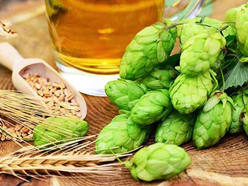 bia o.j strong 8,5% hà lan