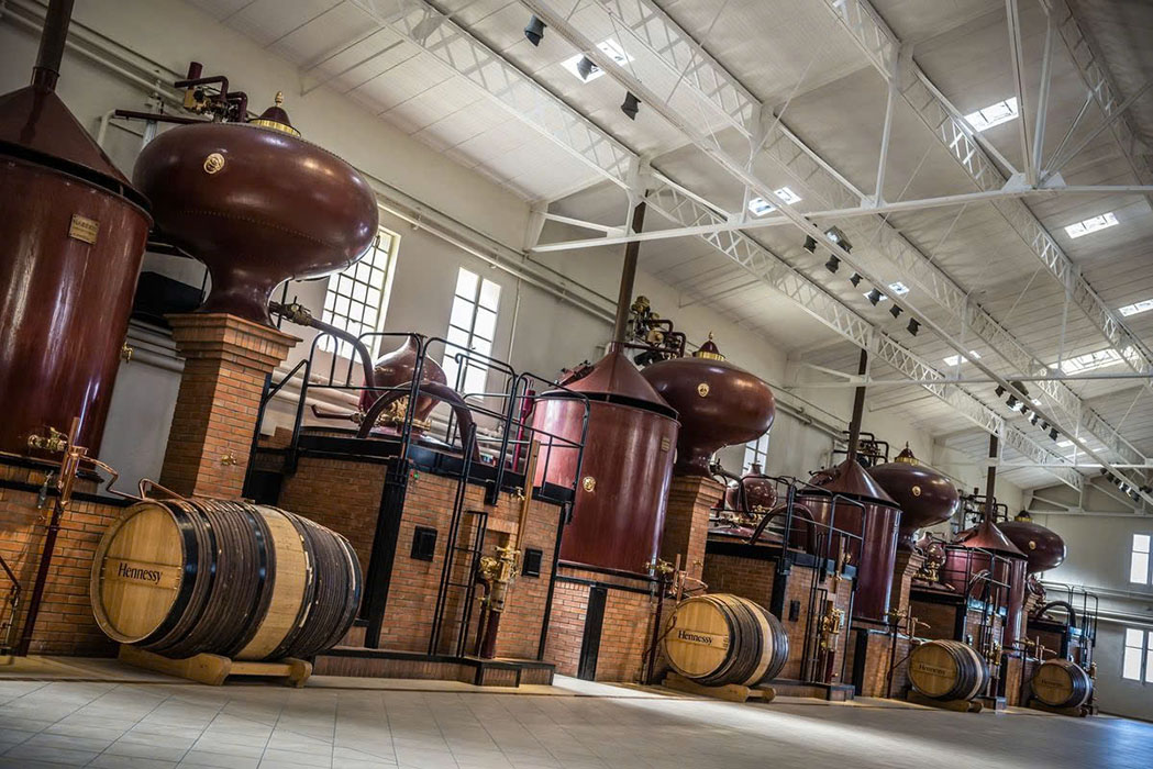 Chivas 18 có mấy loại