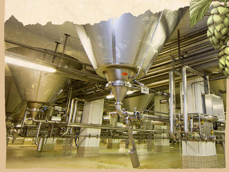 hộp quà bia đức dinkelacker privat export 12 chai/hộp