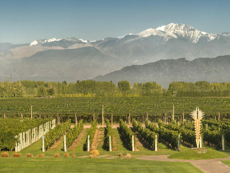 rượu argentina norton malbec barrel select