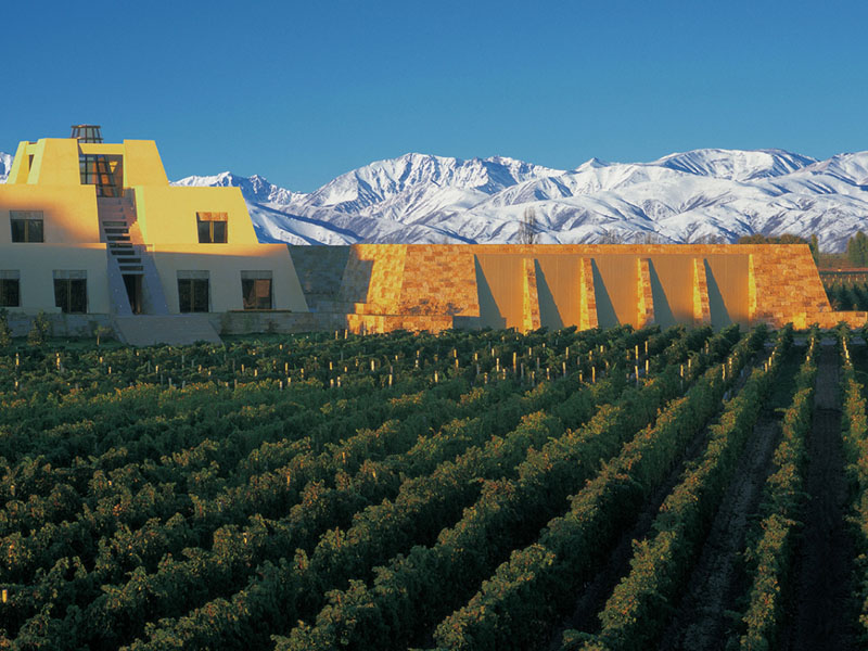 rượu argentina norton merlot barrel select