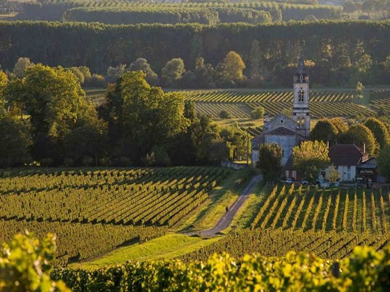 rượu bory fontaney brandy xo