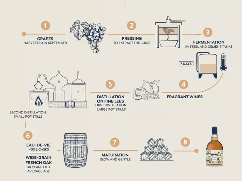 rượu bory fontaney brandy xo