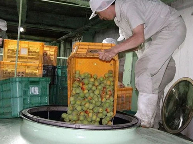 rượu choya kokuto đường đen nhật bản