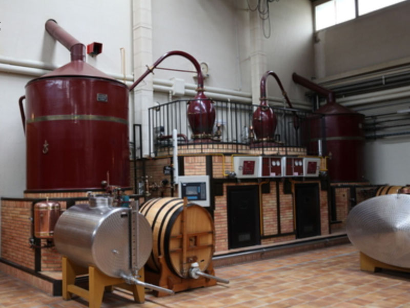 rượu đào tiên bách phúc hoàng kim