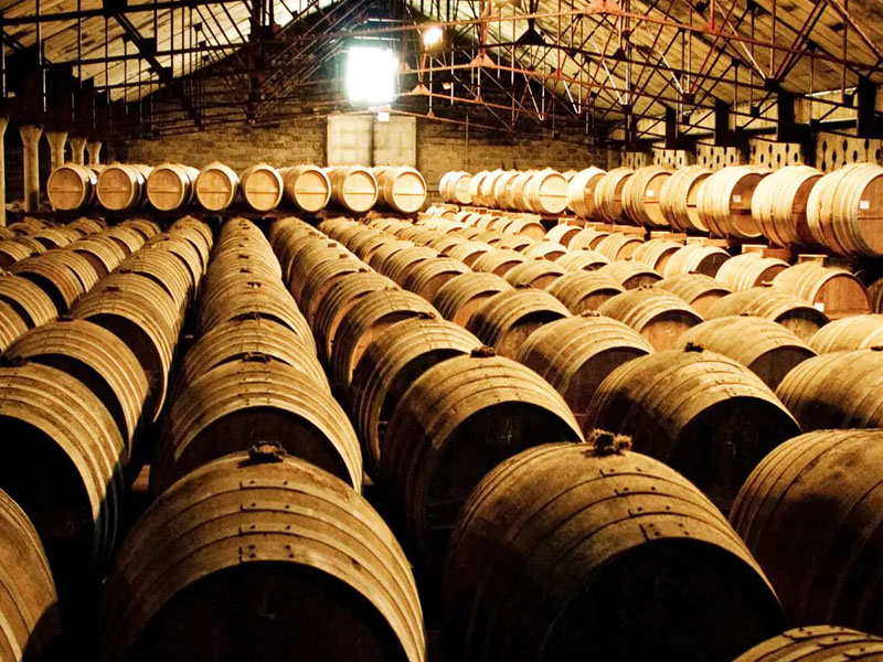 rượu jagermeister cold brew coffee