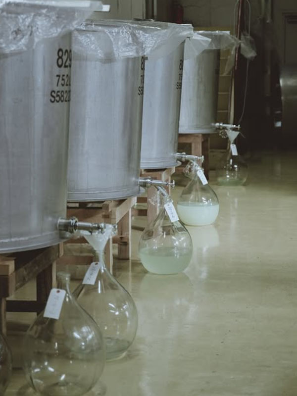 rượu sake masumi kuro 1800ml