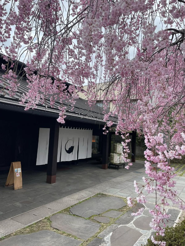 rượu sake masumi nanago 1800ml