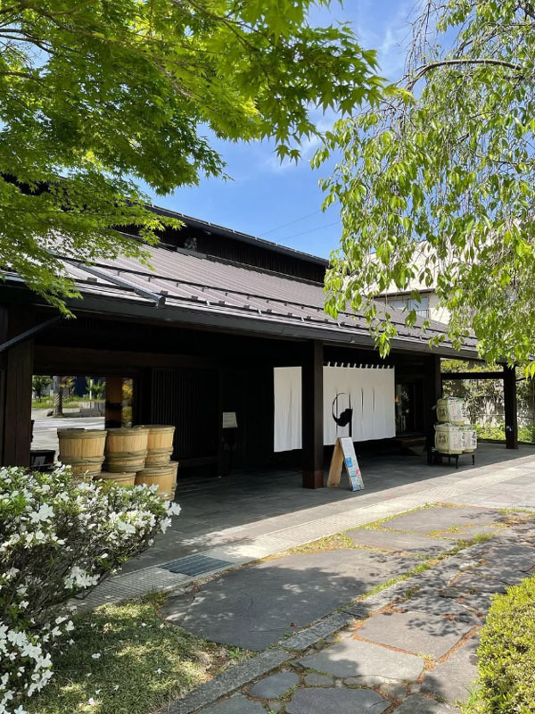 rượu sake masumi nanago