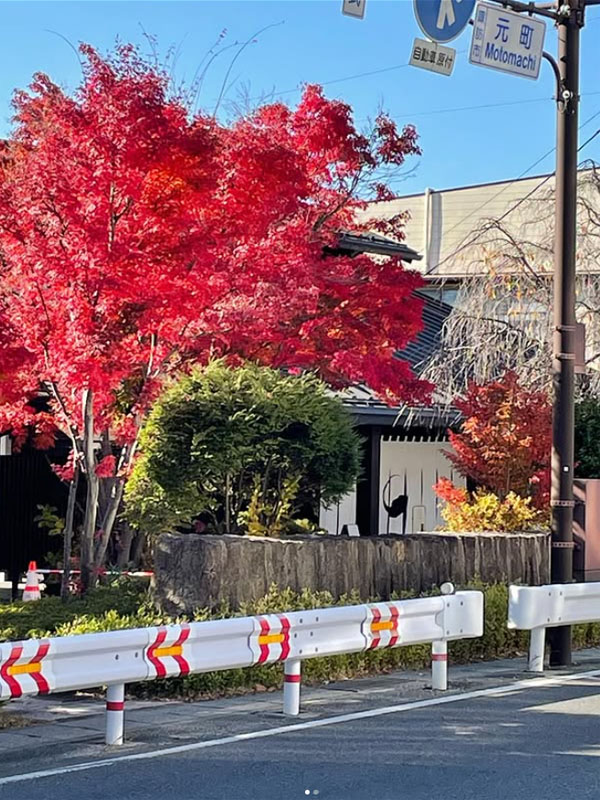 rượu sake masumi sanka 720ml