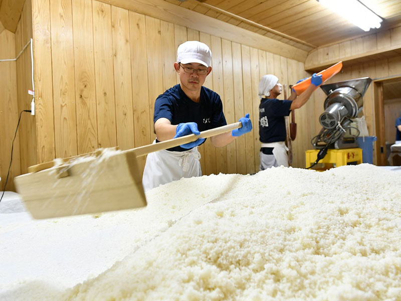 rượu sake nhật bản sanran junmai daiginjo