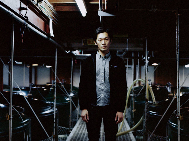 rượu sake nhật masumi kaya 1800ml