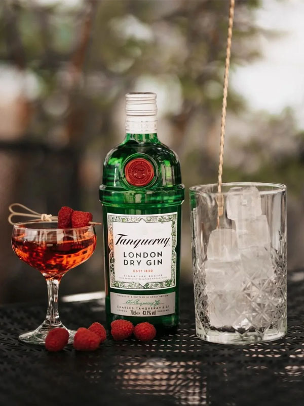 rượu tanqueray london dry gin