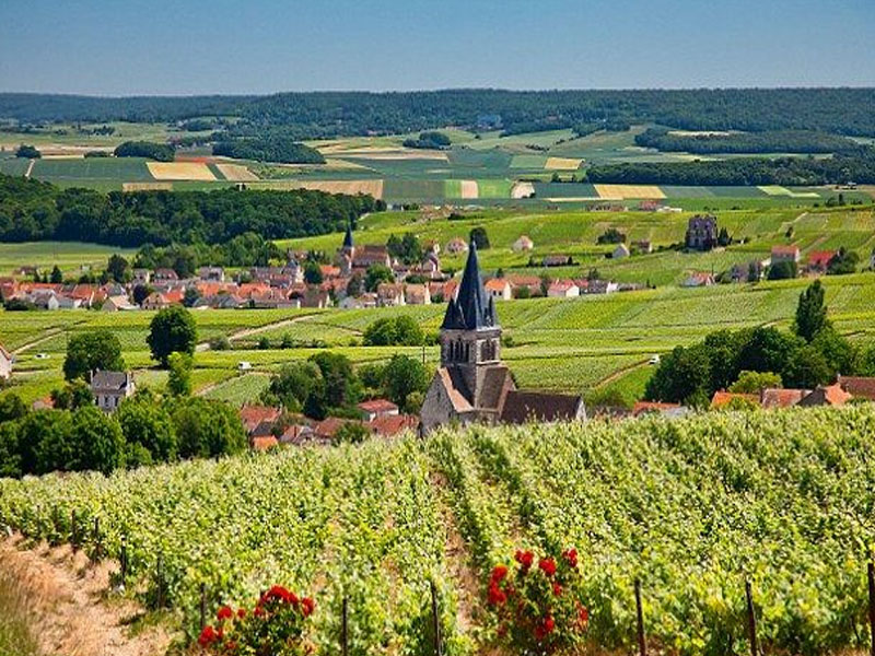 rượu vang albert bichot côte de beaune villages 2017