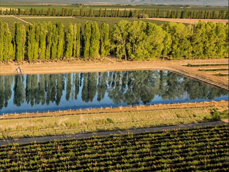 rượu vang argentina norton malbec