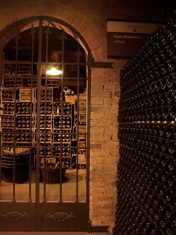 rượu vang argentina norton reserva malbec