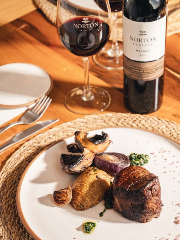 rượu vang argentina norton reserva malbec