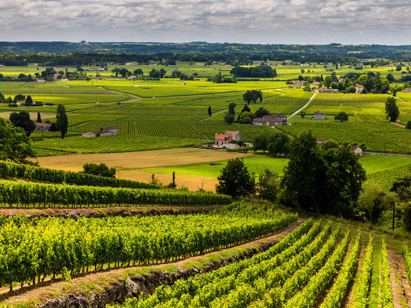 rượu vang chateau la raze beauvallet cru bourgeois medoc