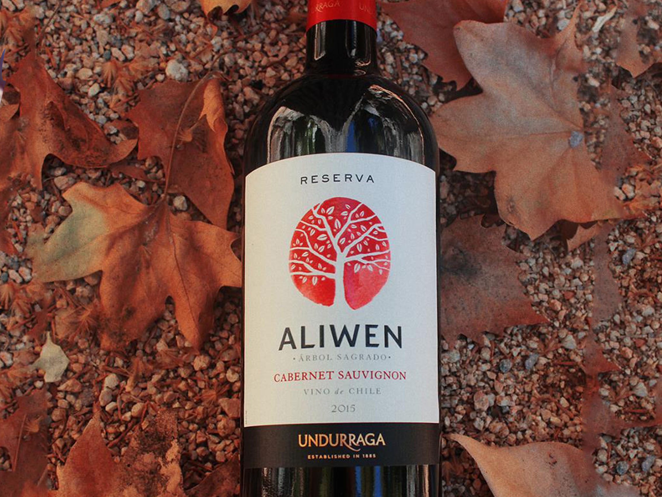 rượu vang chile aliwen reserva cabernet sauvignon