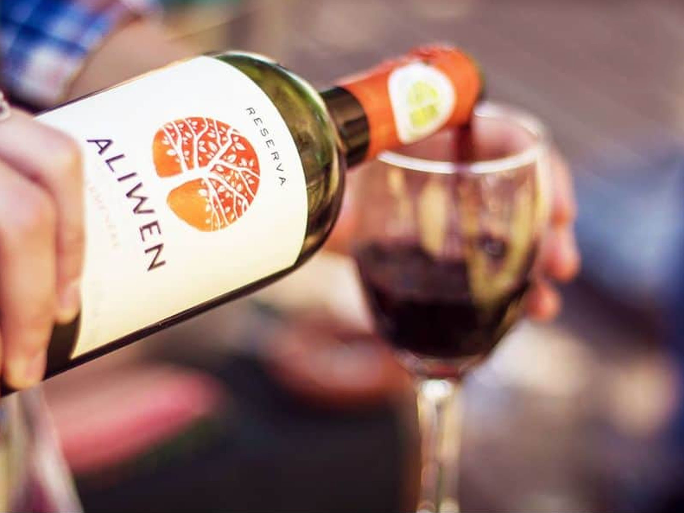 rượu vang chile aliwen reserva cabernet sauvignon