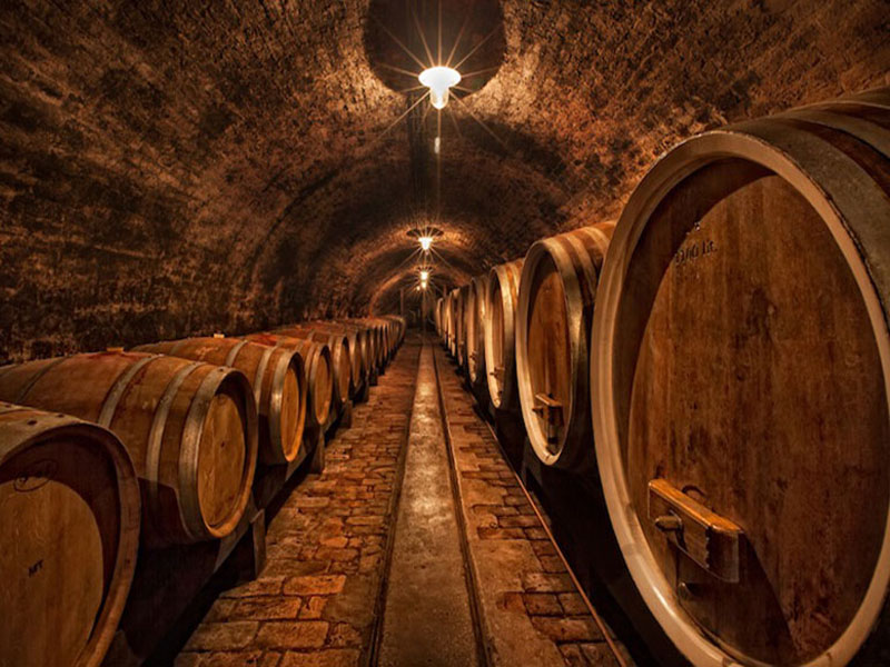 rượu vang đỏ chateau fleur cardinale saint-émilion grand cru classé 2019