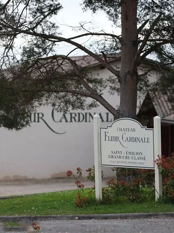 rượu vang đỏ chateau fleur cardinale saint-émilion grand cru classé 2019