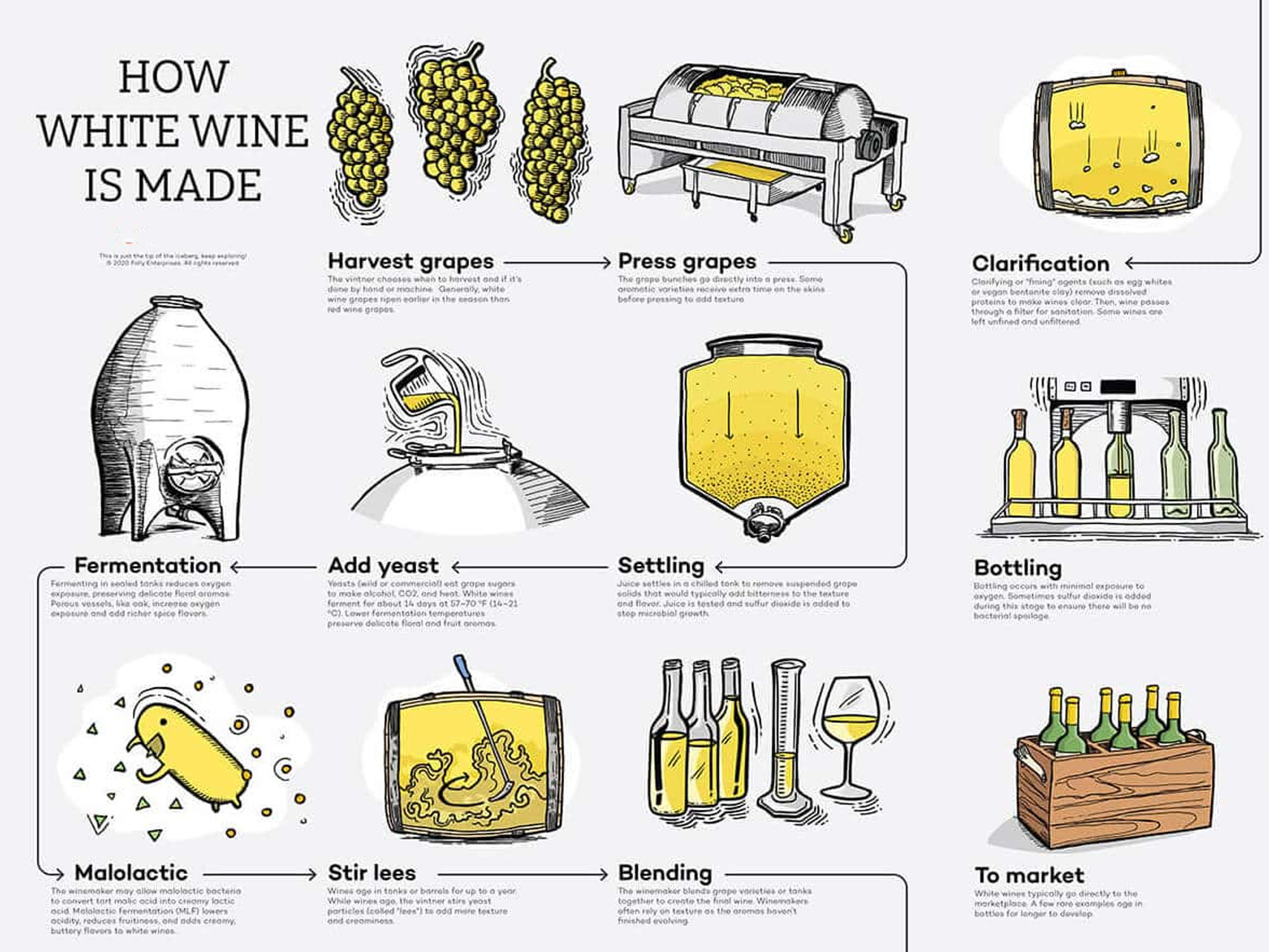 rượu vang morgans bay semillion sauvignon blanc