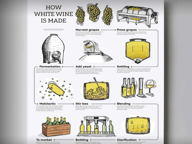 rượu vang penfolds koonunga hill autumn riesling