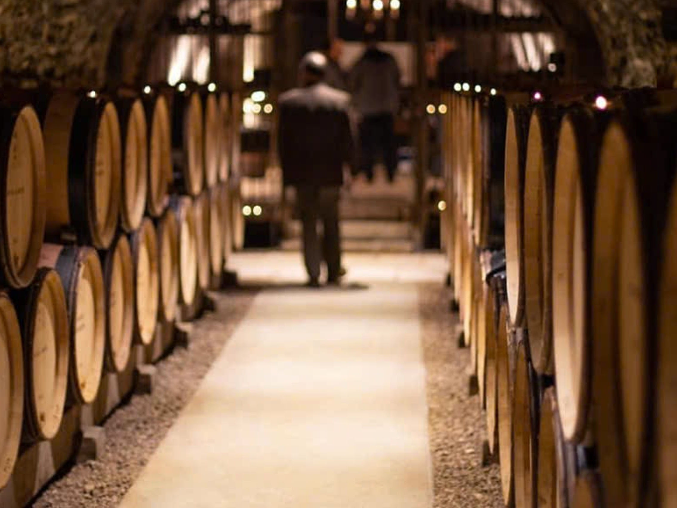 rượu vang pháp albert bichot domaine adelie mercurey en pierre milley 2019