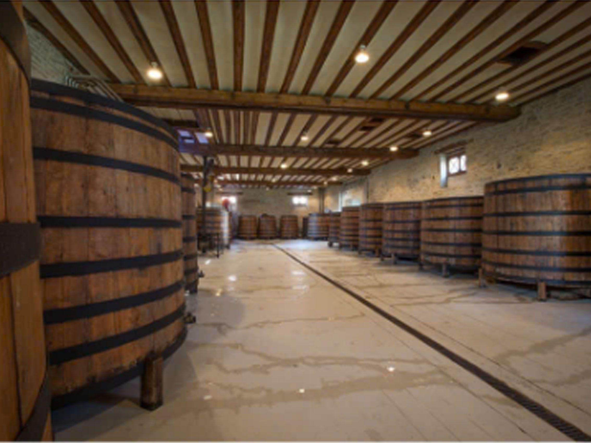 rượu vang pháp albert bichot domaine adelie mercurey en pierre milley 2020