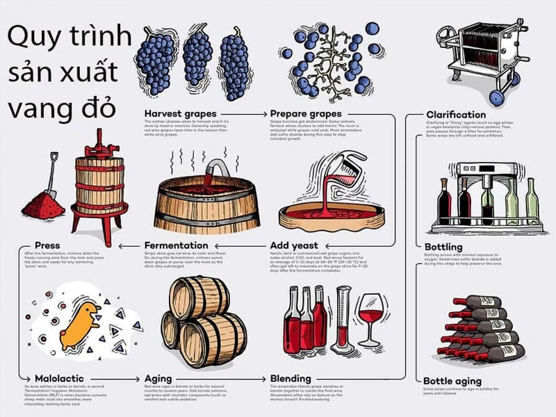 rượu vang pháp château lynch moussas 2021