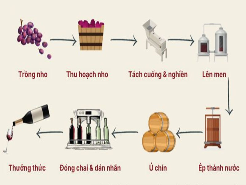 rượu vang vignerons ardechois les classiques cabernet sauvignon