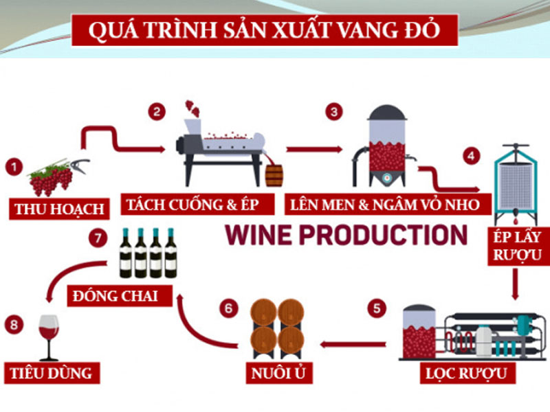 rượu vang ý aquila