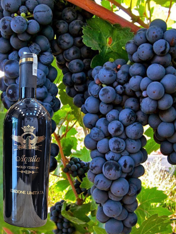 rượu vang ý aquila