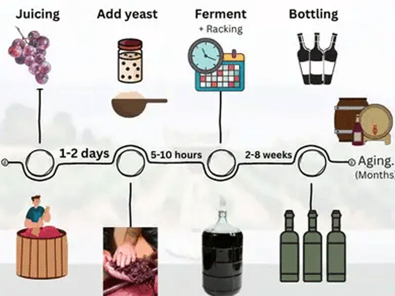 rượu vang ý castellare di castellina chianti classico riserva 2019