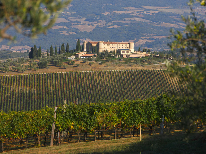 rượu vang ý castellare di castellina chianti classico riserva 2019