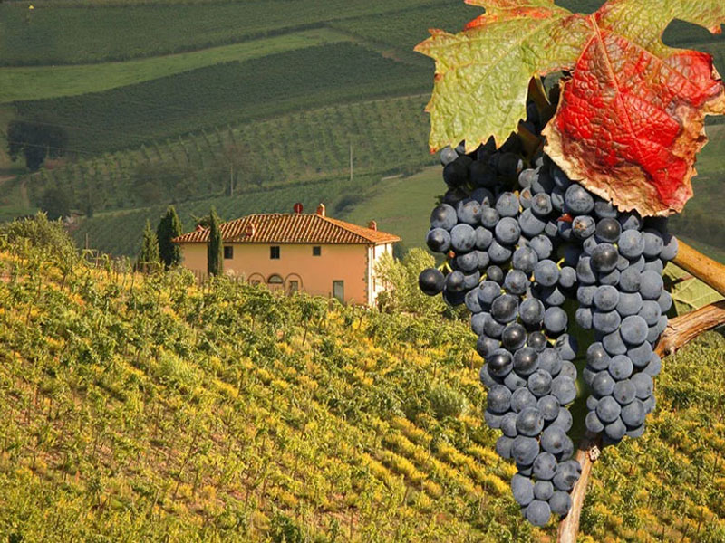 rượu vang ý castellare di castellina i sodi di s.nicolo 2018 1500ml