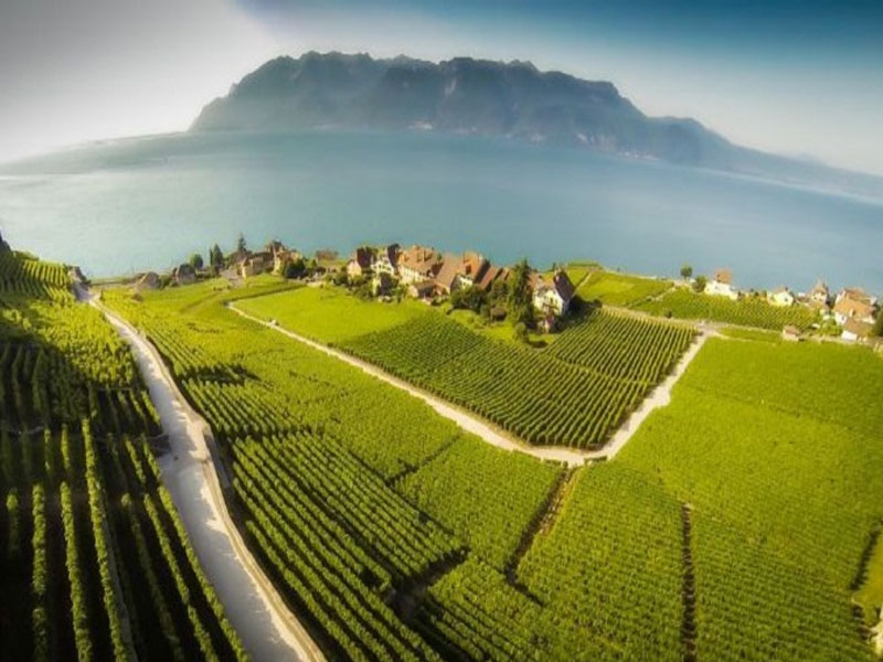 rượu vang ý castellare di castellina i sodi di s.nicolo 2018