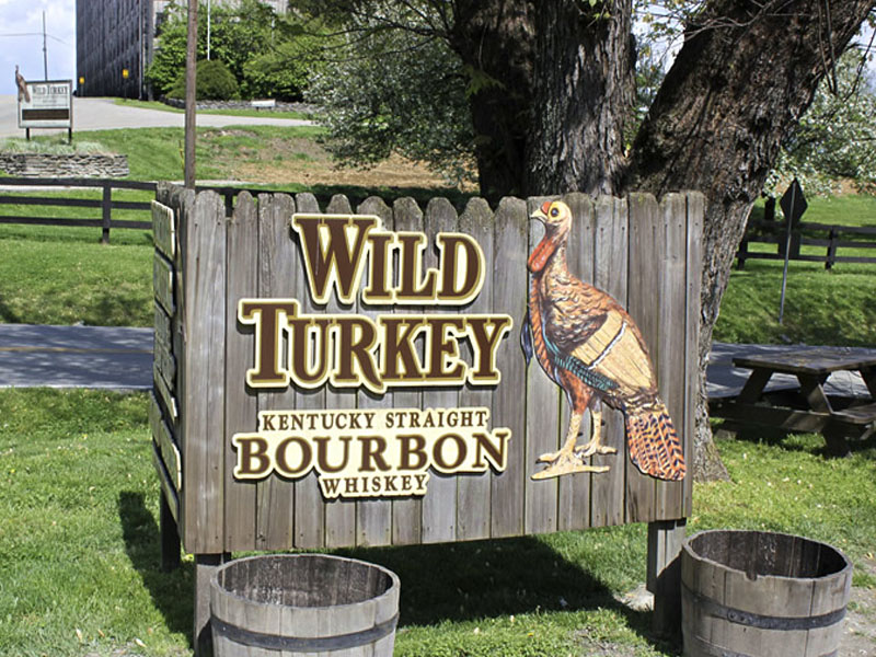 rượu whiskey wild turkey 8 năm