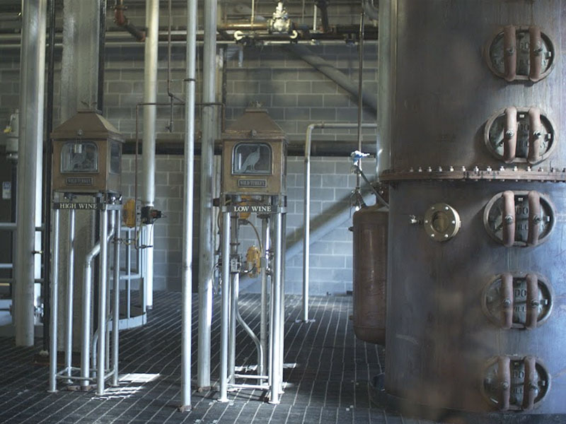 rượu whisky wild turkey 81