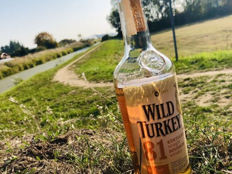 rượu whisky wild turkey 81