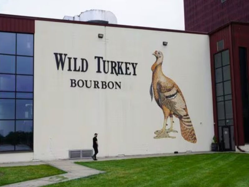 rượu whisky wild turkey kentucky spirit