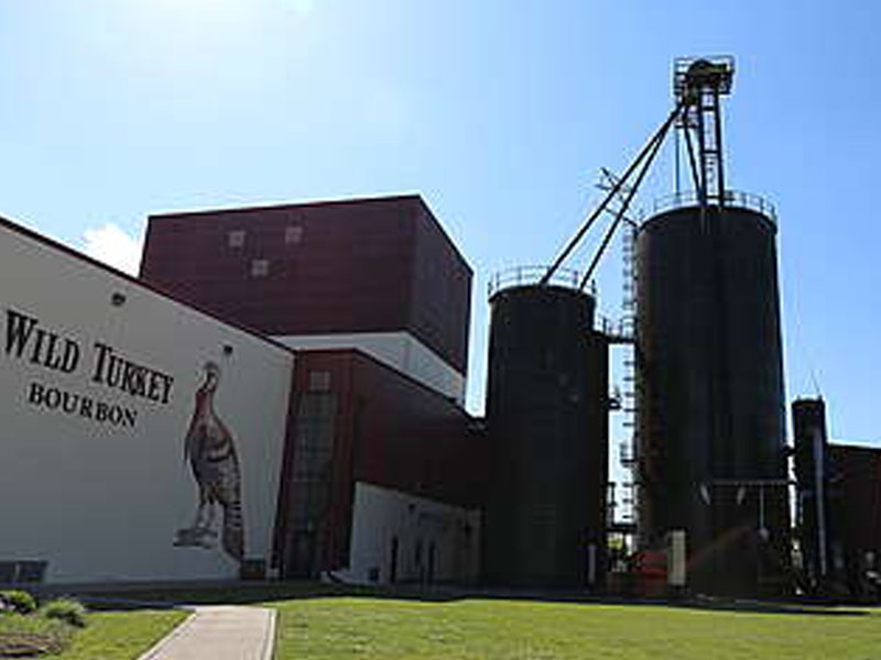 rượu whisky wild turkey rare breed