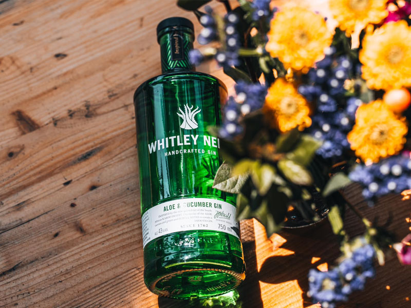 rượu whitley neill aloe cucumber gin