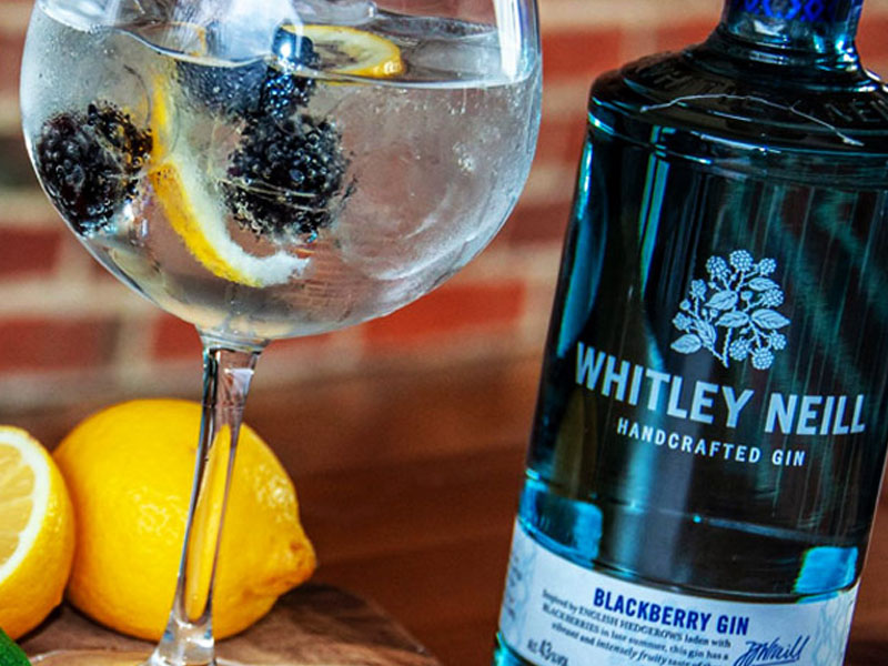 rượu whitley neill blackberry gin