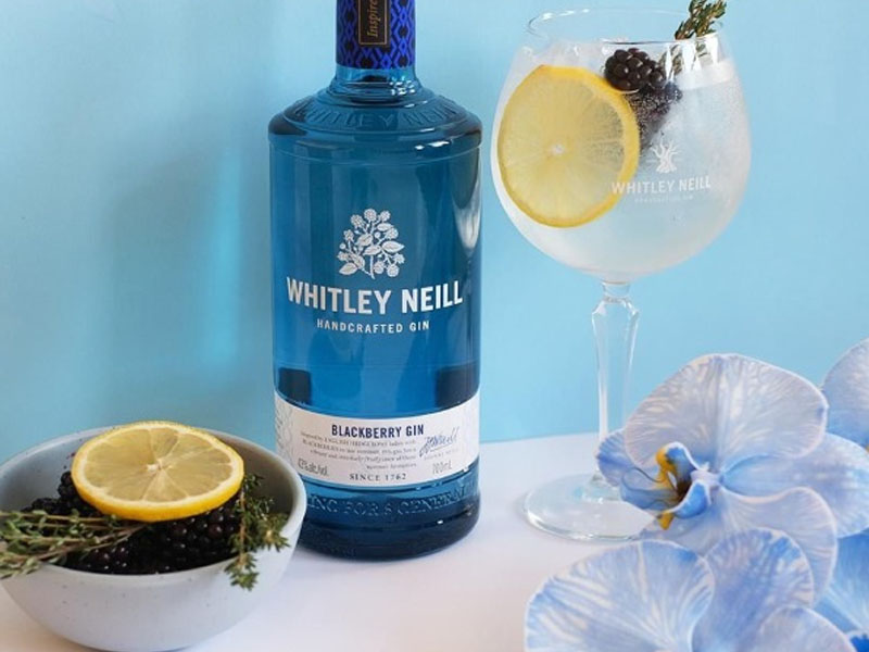 rượu whitley neill blackberry gin