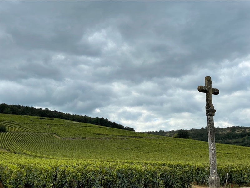 vang pháp domaine de la romanee conti