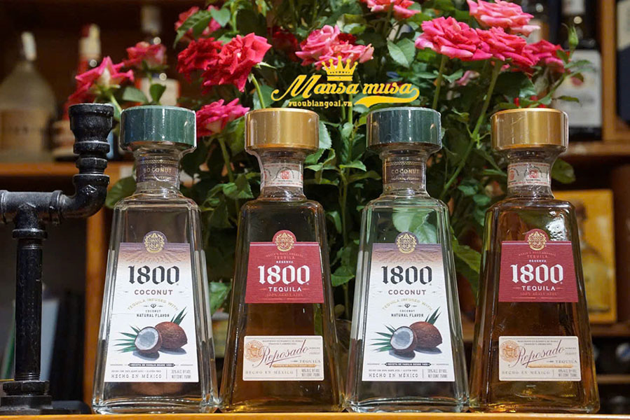 10+ công thức cocktail tequila đỉnh cao 2025 10+ công thức cocktail tequila đỉnh cao 2025