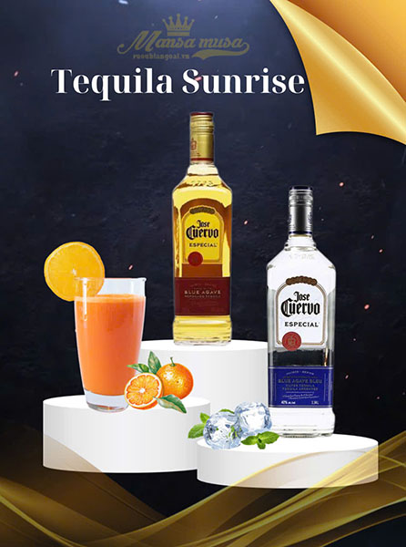 10+ công thức cocktail tequila đỉnh cao 2025 10+ công thức cocktail tequila đỉnh cao 2025